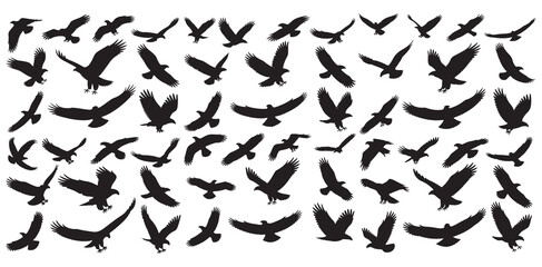 Pattern of Black Silhouettes of Birds in Flight, silhouettes birds in various flight, Variety of Black Silhouette Birds in Flight, black silhouette images of birds, likely eagles or vultures, in vario
