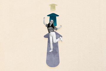 Creative image artwork collage of happy businesswoman stand arrow statistics career promotion...
