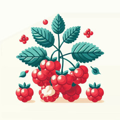 Raspberries and leaves are arranged symmetrically on a white backdrop