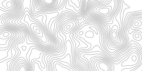 Topographic map background. Topo contour map on white background. 

