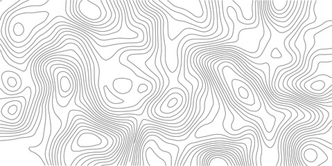 Topographic map background. Topo contour map on white background. 

