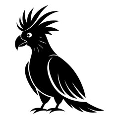 bird vector illustration