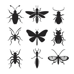 insects vector set