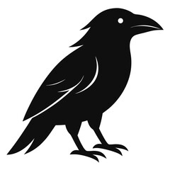 Obraz premium bird vector illustration