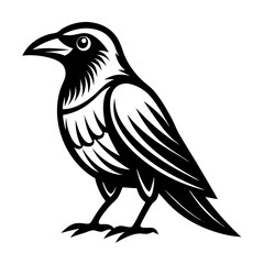 bird vector illustration
