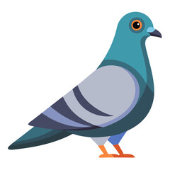 bird vector illustration