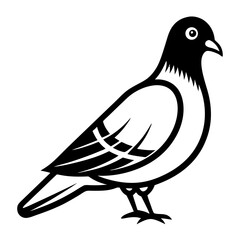 bird vector illustration