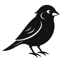 bird vector illustration
