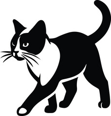 Cat silhouette black and white stylish vector, Elegant pet cat clean design graphic