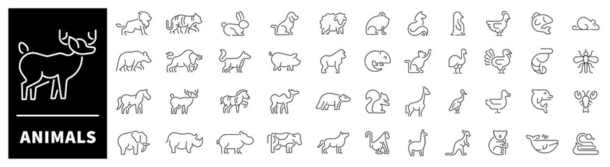 Animals line icons. Set of outline icons related to animals and pets. Animals thin line icons collection. Animal logo set