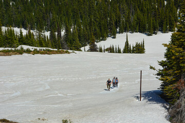 Hikers at Montana ski resort in Spring of 2025.