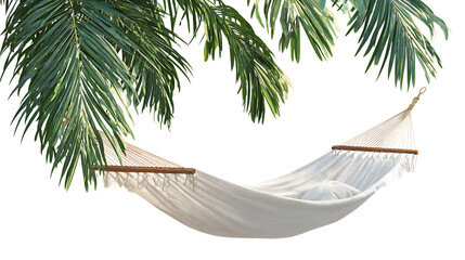 hammock and palm tree on white background