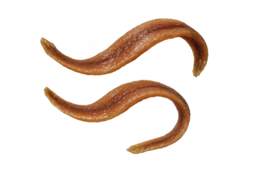 Two fillets of anchovies isolated on a transparent background, ready for use