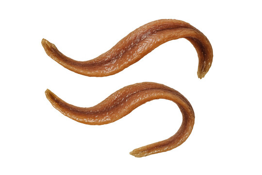 Two fillets of anchovies isolated on a transparent background, ready for use