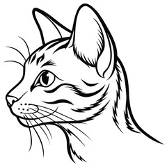 vector illustration of a cat