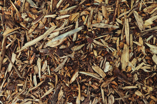 Natural wood chips background texture