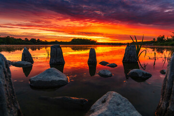 Niby krokodyla nad Bugiem