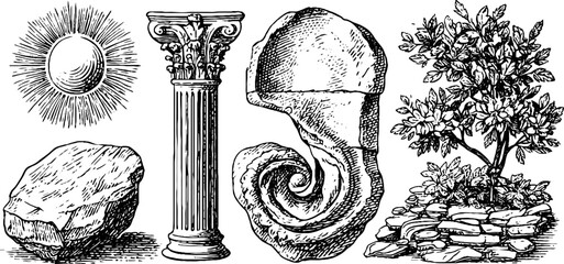Vintage architectural elements and natural objects illustration for historical design