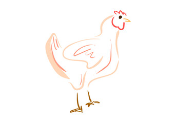 This image features a simplified, light-colored illustration of a hen