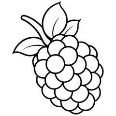 Isolated line drawing of a raspberry on white background