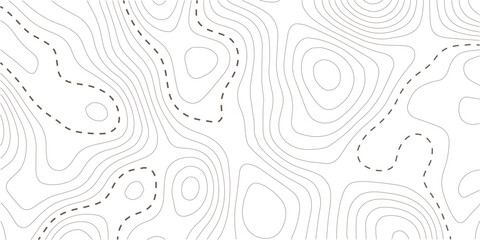 Topographic map background. Geographic line map with elevation assignments. Contour background geographic grid. Vector illustration