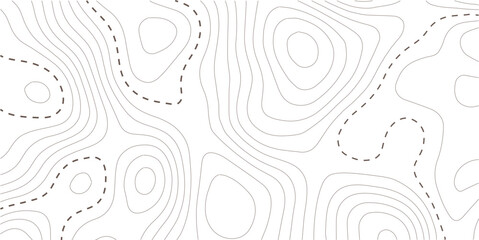 Topographic map background. Geographic line map with elevation assignments. Contour background geographic grid. Vector illustration