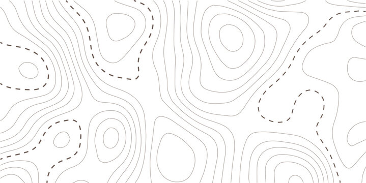 Topographic map background. Geographic line map with elevation assignments. Contour background geographic grid. Vector illustration