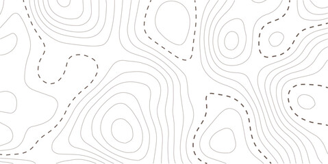 Topographic map background. Geographic line map with elevation assignments. Contour background geographic grid. Vector illustration