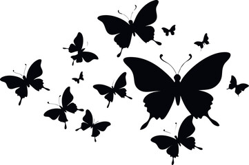 Fototapeta premium set of butterflies silhouette vector