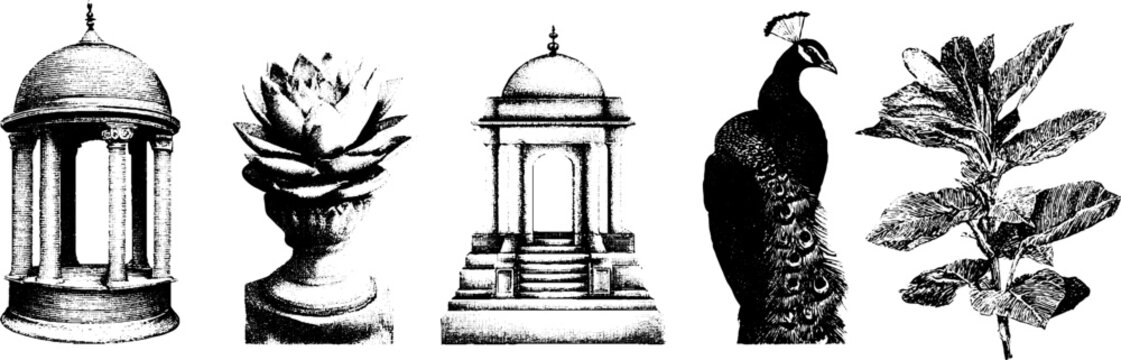 Intricate indian jali screens and chhatri dome with nature and wildlife elements for decoration