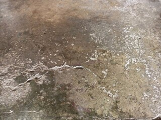 Distressed Concrete Surface with Efflorescence and Cracks