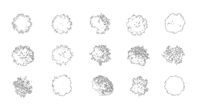Creative Tree Line Art with Leafy Details top view