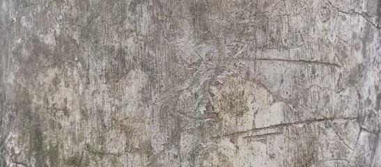 Gritty Weathered Concrete Wall with Fine Cracks