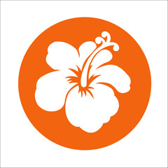 LOGOS SIGNOS LOGOTIPOS ISOTIPOS MARACA GRÁFICA HIBISCUS FLOR FLORES