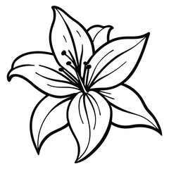 lily flower vector art design 
