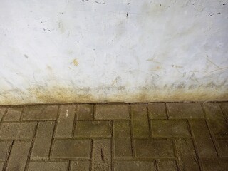 Stained Wall and Mossy Paving Blocks Ground Level