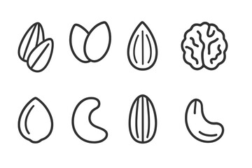 Line Style Nuts. Line style icons of seeds and nuts: sunflower seeds, pumpkin seeds, almond, walnut. hazelnut, cashew, pecan, pine