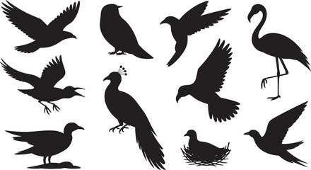 Ten Black Bird Silhouettes Vector Illustrations Flying Birds Peacock Flamingo Dove Pigeon