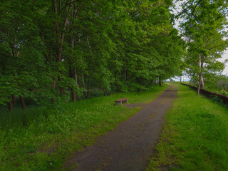 There is a path in the park, with many green trees around, and a lonely bench beside it.