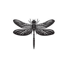 Dragonfly Vector (4).eps