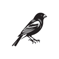 Finch Vector (1).eps