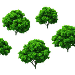 Lush green trees with dense foliage are arranged against transparent background, creating natural and vibrant pattern. trees are evenly spaced, showcasing their full, leafy canopies