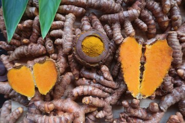 Turmeric is the most special medicinal herb in the world enriched with detox properties. It is known as Haldi in Hindi,Turmeric in English, Manjal in malayalam