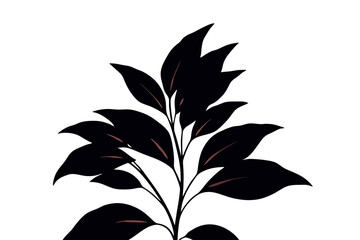 Elegant Indoor Plant Illustration with Dark Leaf Accents