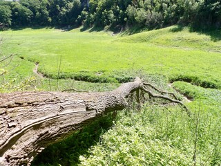 Der Bauerngraben, auch Hungersee genannt, episodischer See an der Mündung des Glasebachs im...