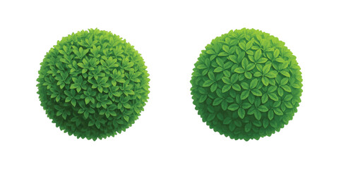 Lush green plant ball graphic used for garden planning, urban design and natural decoration.