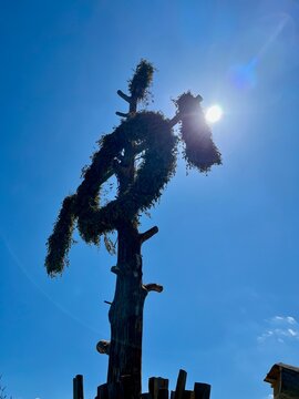 Eine Wanderung zur Queste bei Questenberg in Sachsen Anhalt