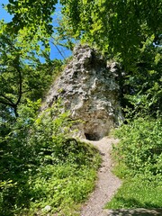 die Ruine der Burg Questenberg, der Burgfried