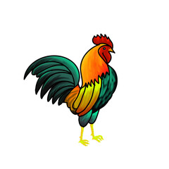 Fototapeta premium Colorful Rooster in Bold Cartoon Style