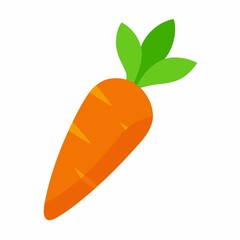 Single orange carrot isolated on white background